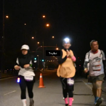 Runner Photo 7650651