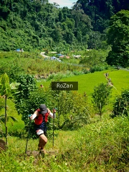 Runner Photo 76581