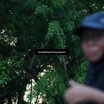 Runner Photo 7667853