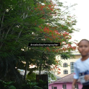 Runner Photo 7668066