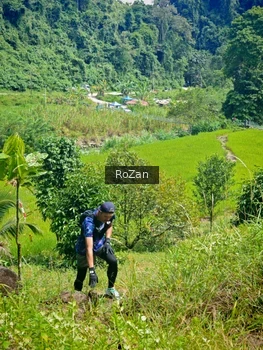 Runner Photo 76709