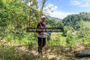 Runner Photo 76711