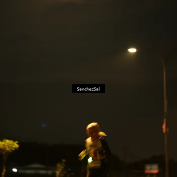 Runner Photo 7686141
