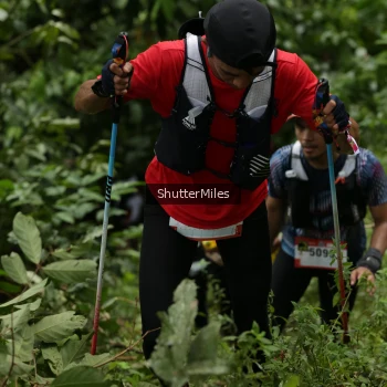 Runner Photo 76912