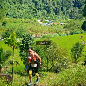 Runner Photo 76998