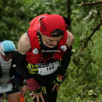 Runner Photo 77022