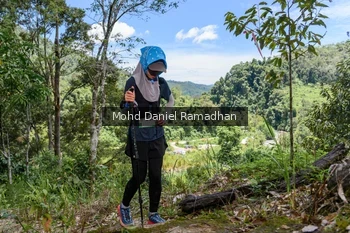 Runner Photo 77036
