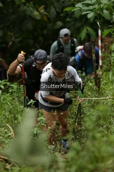 Runner Photo 77211