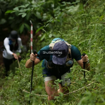 Runner Photo 77213