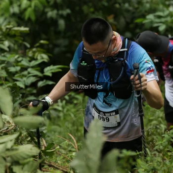 Runner Photo 77282