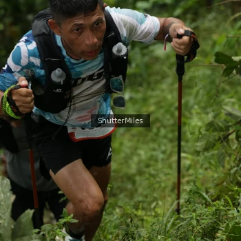 Runner Photo 77303