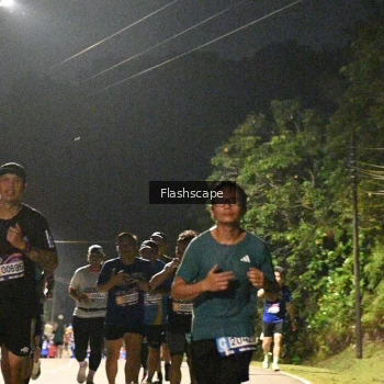 Runner Photo 773998