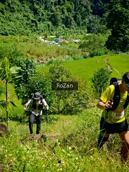 Runner Photo 77407