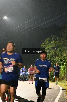 Runner Photo 774435