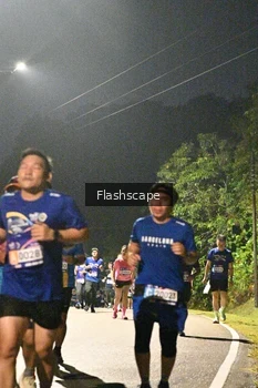 Runner Photo 774494