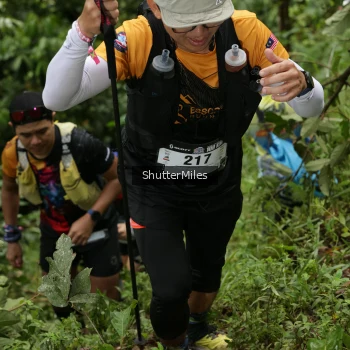 Runner Photo 77450