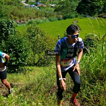 Runner Photo 77594