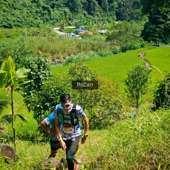 Runner Photo 77618