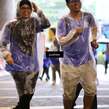 Runner Photo 7765974