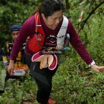 Runner Photo 77717