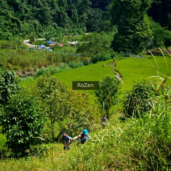 Runner Photo 77732