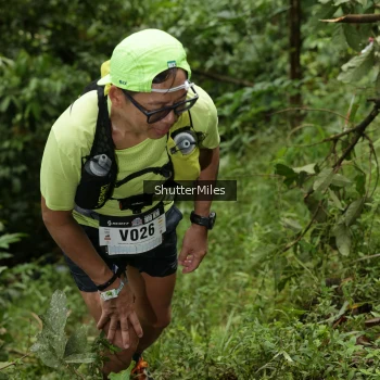 Runner Photo 77756