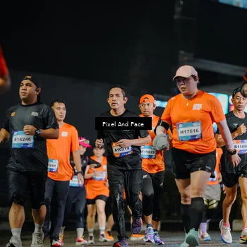 Runner Photo 7788254