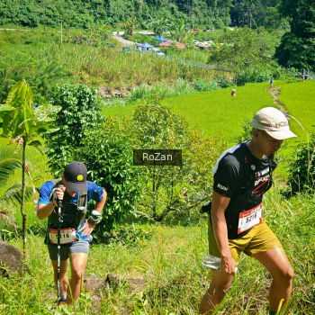 Runner Photo 77962