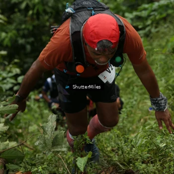 Runner Photo 78071