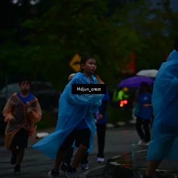 Runner Photo 7809930