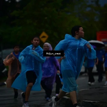 Runner Photo 7809970