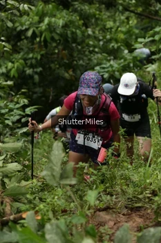 Runner Photo 78153