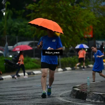 Runner Photo 7816705