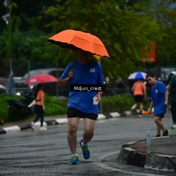 Runner Photo 7816774