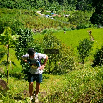Runner Photo 78177
