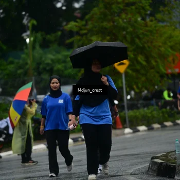 Runner Photo 7819661
