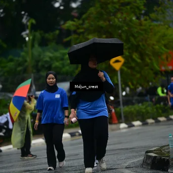 Runner Photo 7819665