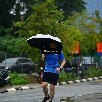 Runner Photo 7820262