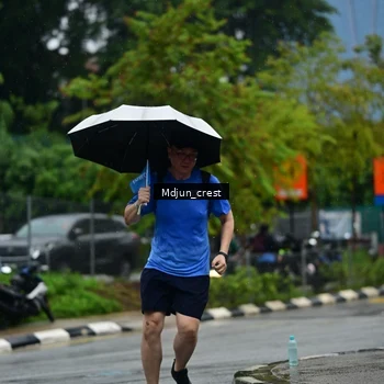 Runner Photo 7820314