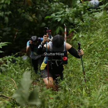 Runner Photo 78217