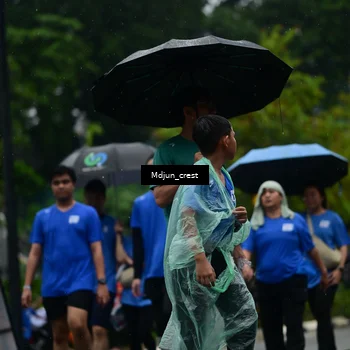 Runner Photo 7823728