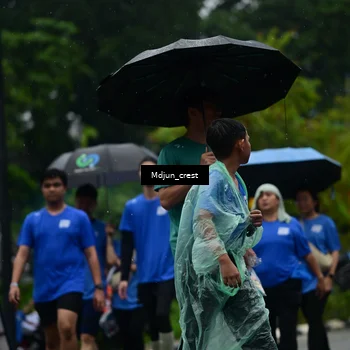 Runner Photo 7823757