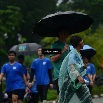 Runner Photo 7823792