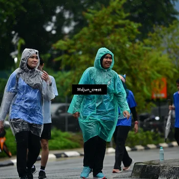 Runner Photo 7824738
