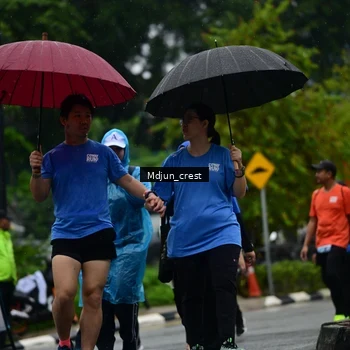 Runner Photo 7825098