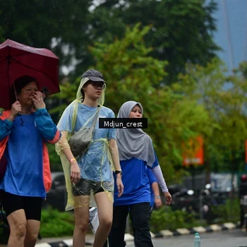 Runner Photo 7825400