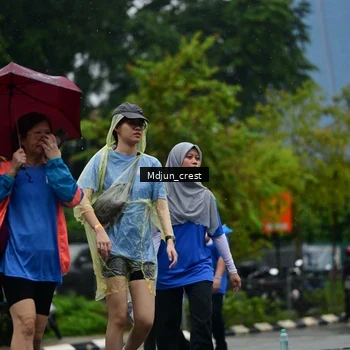 Runner Photo 7825437
