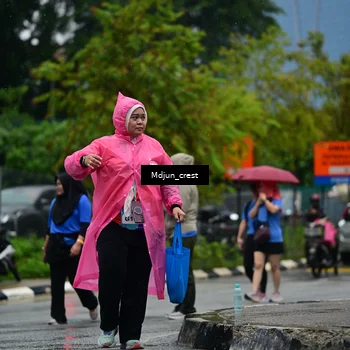 Runner Photo 7826801