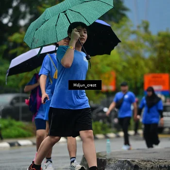 Runner Photo 7828993