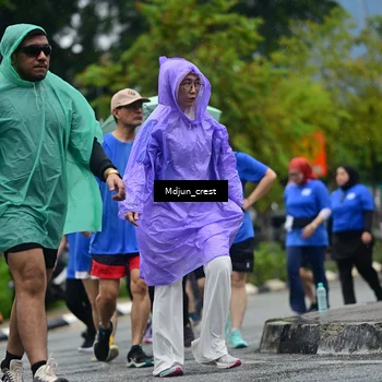 Runner Photo 7829779